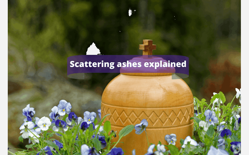 Money Savings Advice Scattering ashes explained