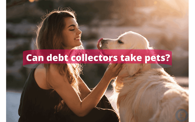 Money Savings Advice Can debt collectors take pets