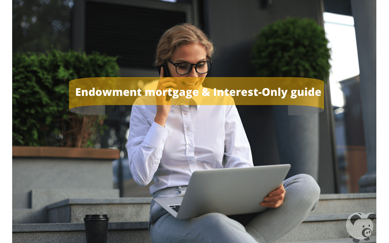 Money Savings Advice Repayment, Interest-Only and Endowment Mortgages Guide